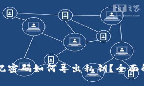 TPWallet忘记密码如何导出私钥？全面解析解决方案