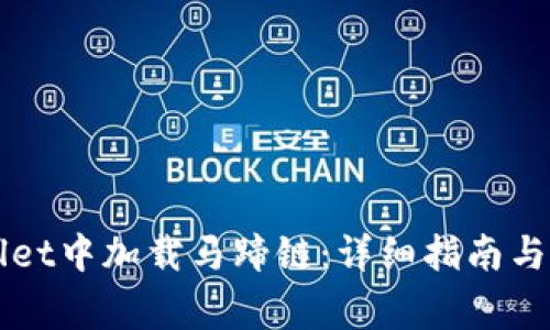 如何在TPWallet中加载马蹄链：详细指南与常见问题解答