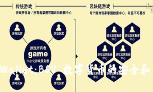 全面解读 TPWallet：BSV 数字货币的安全和便捷管理工具