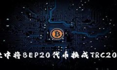 如何在TPWallet中将BEP20代币