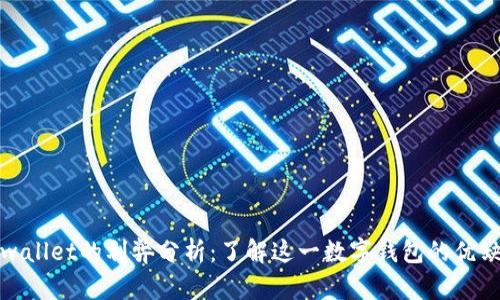 tpwallet的利弊分析：了解这一数字钱包的优缺点