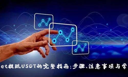 tpwallet提现USDT的完整指南：步骤、注意事项与常见问题