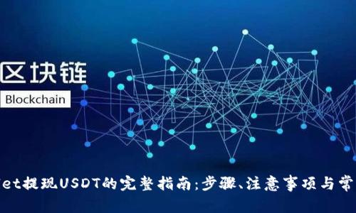 tpwallet提现USDT的完整指南：步骤、注意事项与常见问题