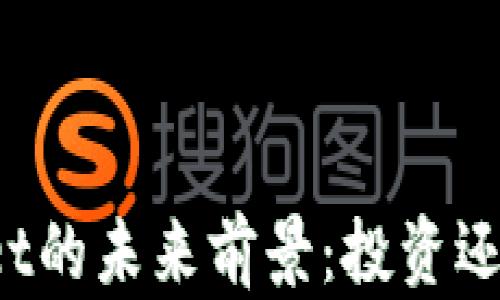 
TPWallet的未来前景：投资还是风险？