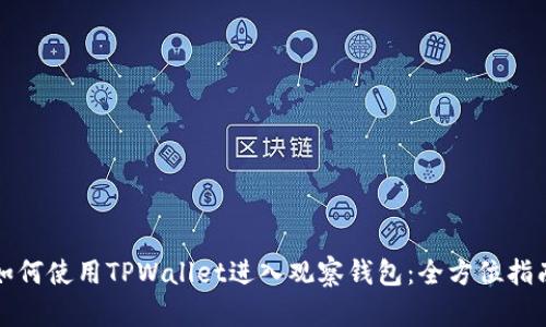 如何使用TPWallet进入观察钱包：全方位指南