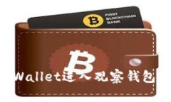 如何使用TPWallet进入观察钱