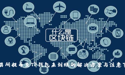 交易所提币至TP钱包未到账的解决方案与注意事项