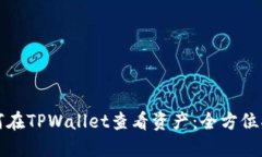 如何在TPWallet查看资产：全