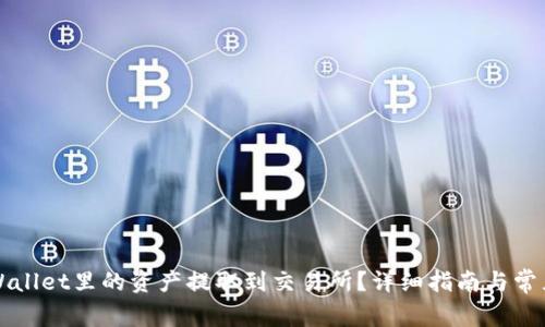如何将TPWallet里的资产提取到交易所？详细指南与常见问题解析