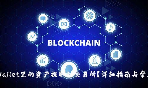 如何将TPWallet里的资产提取到交易所？详细指南与常见问题解析