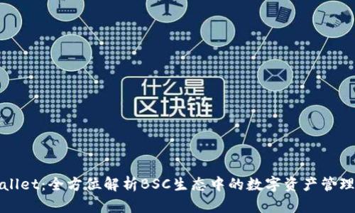 TPWallet：全方位解析BSC生态中的数字资产管理工具