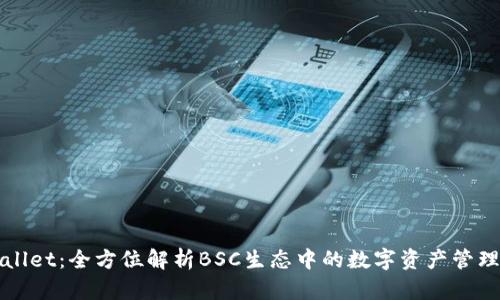 TPWallet：全方位解析BSC生态中的数字资产管理工具