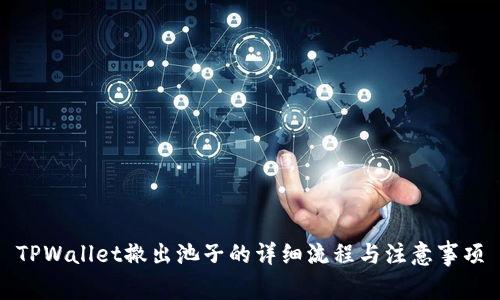 TPWallet撤出池子的详细流程与注意事项