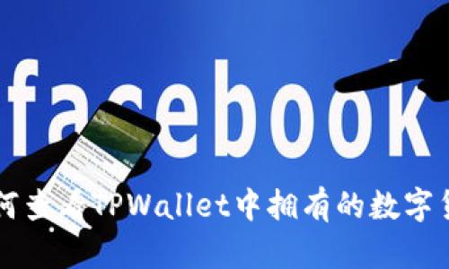 如何查看TPWallet中拥有的数字货币