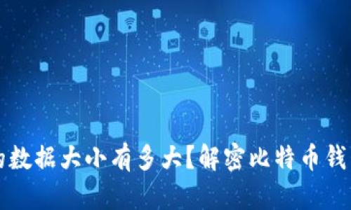 比特币钱包的数据大小有多大？解密比特币钱包的存储需求