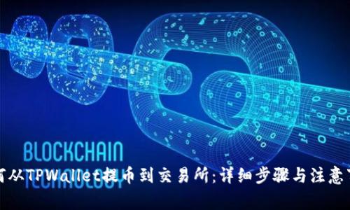 如何从TPWallet提币到交易所：详细步骤与注意事项