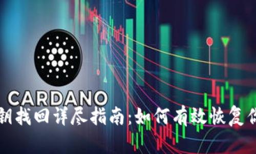 tpwallet私钥找回详尽指南：如何有效恢复你的数字资产