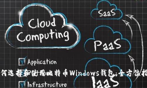 如何选择和使用比特币Windows钱包：全方位指南