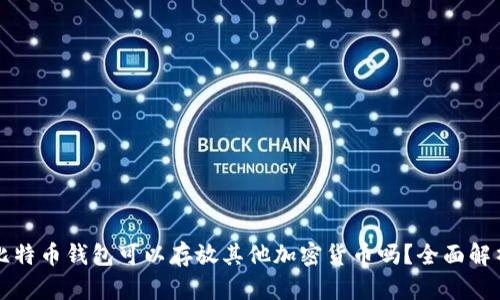 比特币钱包可以存放其他加密货币吗？全面解析