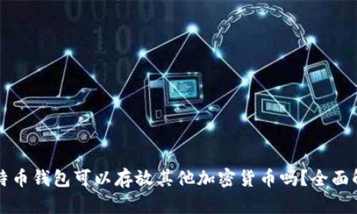 比特币钱包可以存放其他加密货币吗？全面解析