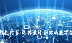 虚拟币钱包推荐：选择最