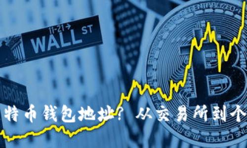 如何选择合适的比特币钱包地址? 从交易所到个人钱包的全面指南