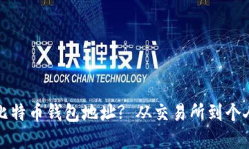 如何选择合适的比特币钱包地址? 从交易所到个人钱包的全面指南