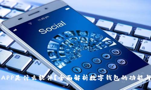 钱包APP是什么软件？全面解析数字钱包的功能与应用