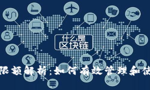 TPWallet USDT限额解析：如何有效管理和使用你的数字资产