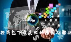 小狐狸钱包下载失败的原因及解决方法