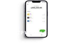 如何在电脑上安全登录TPWallet：详细步骤与常见问