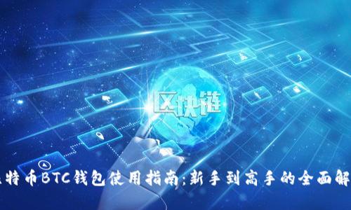比特币BTC钱包使用指南：新手到高手的全面解析