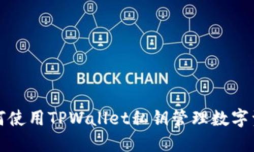 如何使用TPWallet私钥管理数字资产