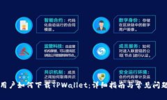 美国用户如何下载TPWallet：详细指南与常见问题解