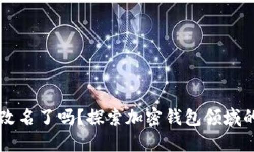 TPWallet改名了吗？探索加密钱包领域的最新动态
