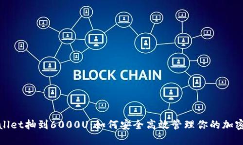 tpwallet抽到6000U：如何安全高效管理你的加密资产