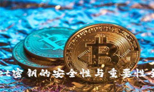 TPWallet密钥的安全性与重要性全面解析